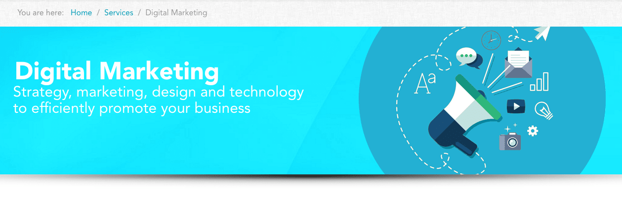 bloominari new intro graphics