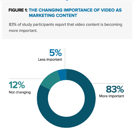 Importance of Video Marketing