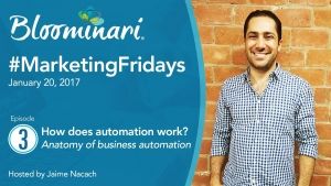How Does Online Business Automation Work [Anatomy of Automation]. Ep 3