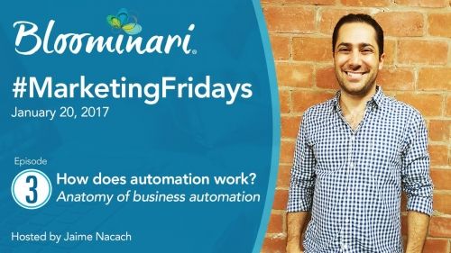 How Does Online Business Automation Work [Anatomy of Automation]. Ep 3