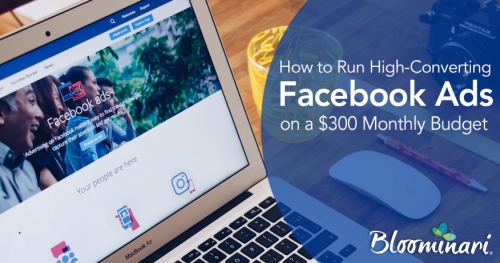 How to Run High-Converting Facebook Ads on a $300 Monthly Budget