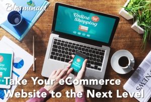 Take Your eCommerce Website to the Next Level